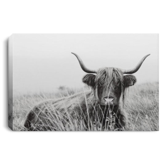 Scottish Highlands Stunning Cow Canvas